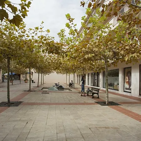 Centre Apartment